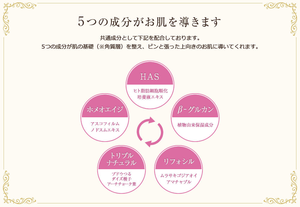5つの成分がお肌を導きます(ボーテドココシリーズには共通成分として下記を配合しております。5つの成分が肌の基礎(※角質層)を整え、ピンと張った上向きのお肌に導いてくれます。)