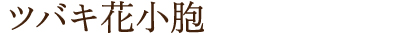 ツバキ花小胞